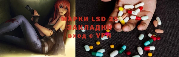 крисы Белоозёрский