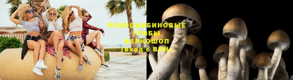 дурь Беломорск