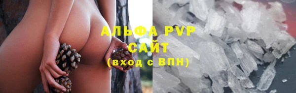 эйфоретик Богданович