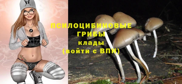 ECSTASY Богородск