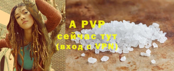 крисы Белоозёрский