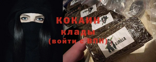 ECSTASY Богородск